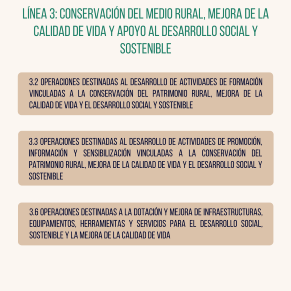 Linea 3