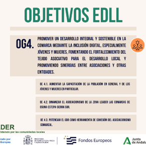 OBJETIVOS EDLL (3)