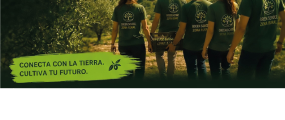MODELO NOTICIA WEB